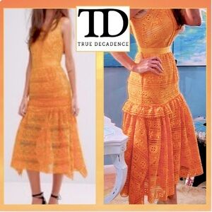 🔥True Decadence,STATEMENT DRESS,  Frilled,Exquisite Lace Stunner,Exclt Cond, 6